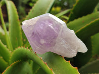 Natural Jacaranda Amethyst Quartz Clusters x 14 from Mumbwa, Zambia - Toprock Gemstones and Minerals 