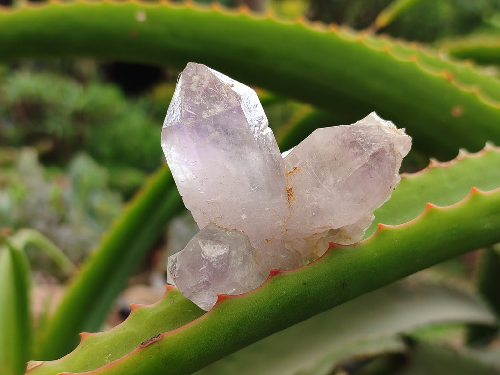 Natural Jacaranda Amethyst Quartz Clusters x 14 from Mumbwa, Zambia - Toprock Gemstones and Minerals 