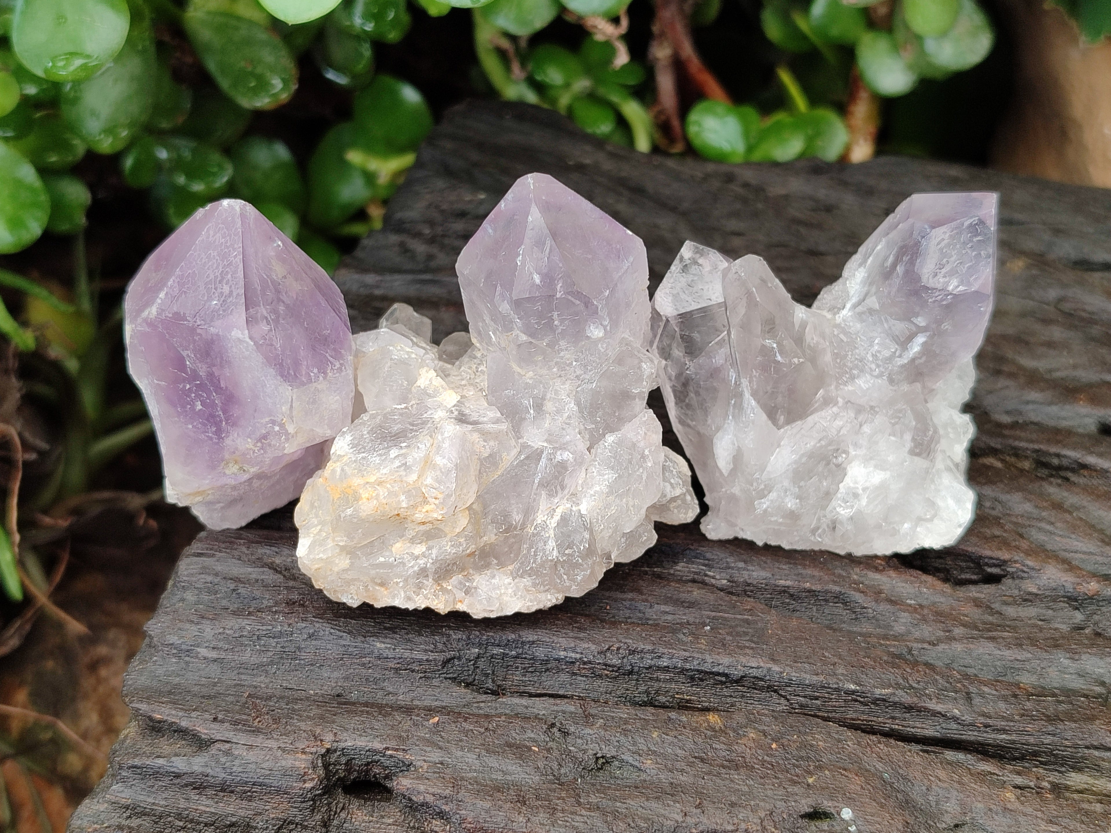 Natural Jacaranda Amethyst Quartz Clusters x 14 from Mumbwa, Zambia - Toprock Gemstones and Minerals 