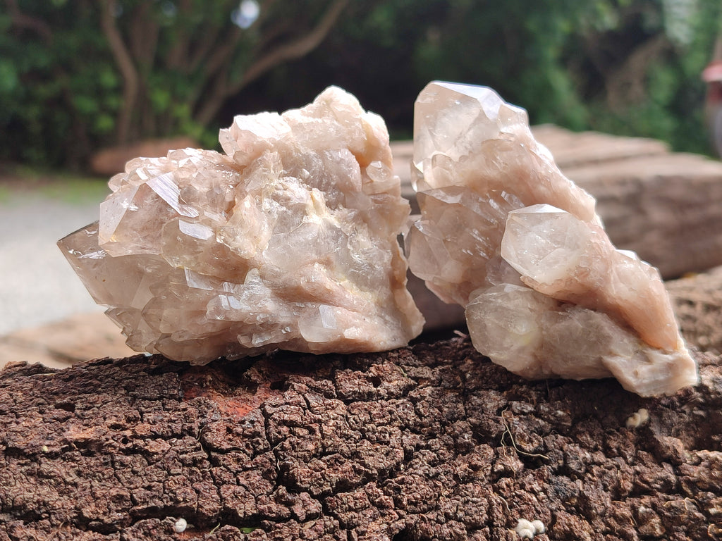 Natural Smokey Quartz Clusters x 6 From Luena, Congo - Toprock Gemstones and Minerals 