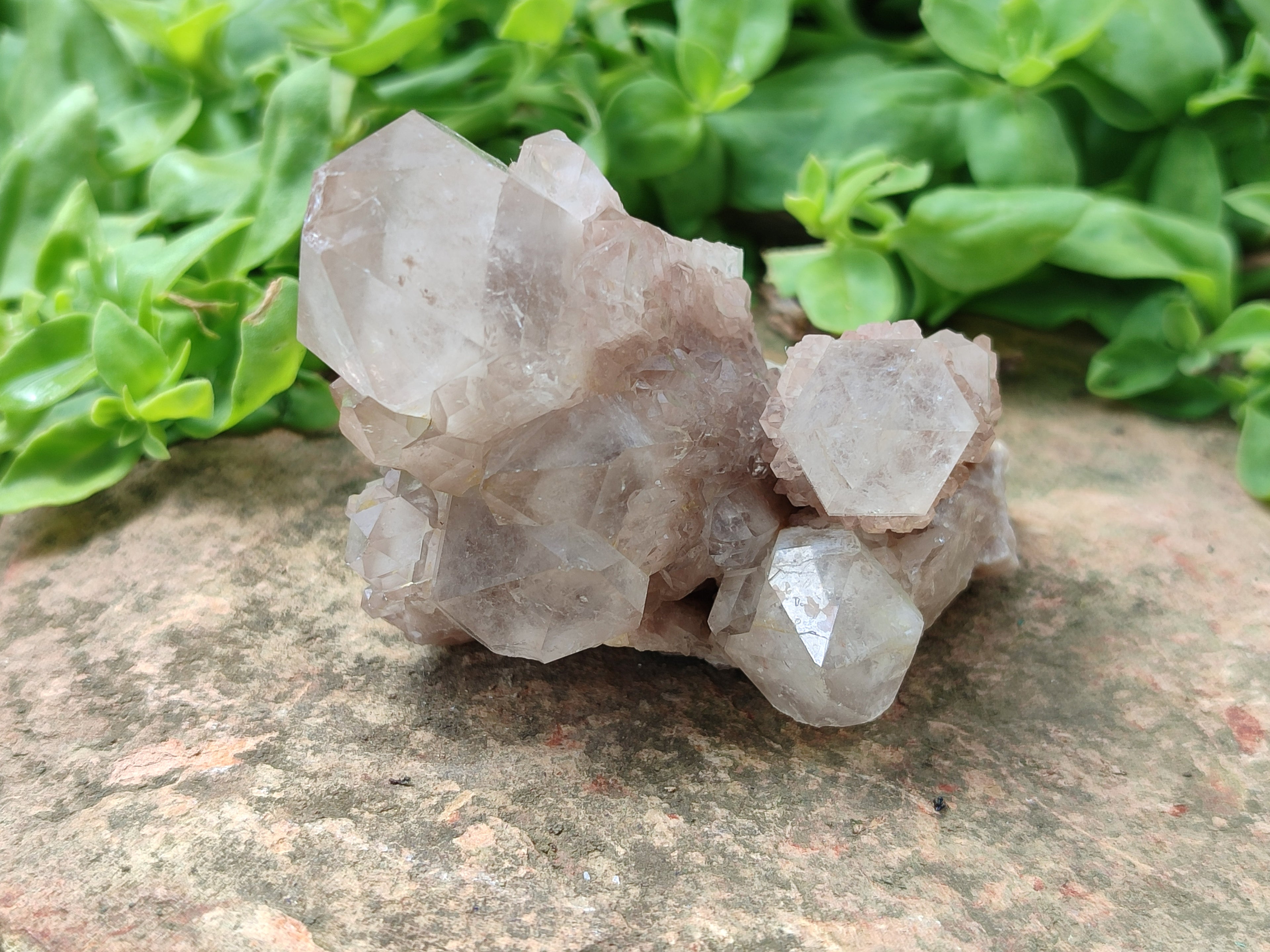 Natural Smokey Quartz Clusters x 6 From Luena, Congo - Toprock Gemstones and Minerals 
