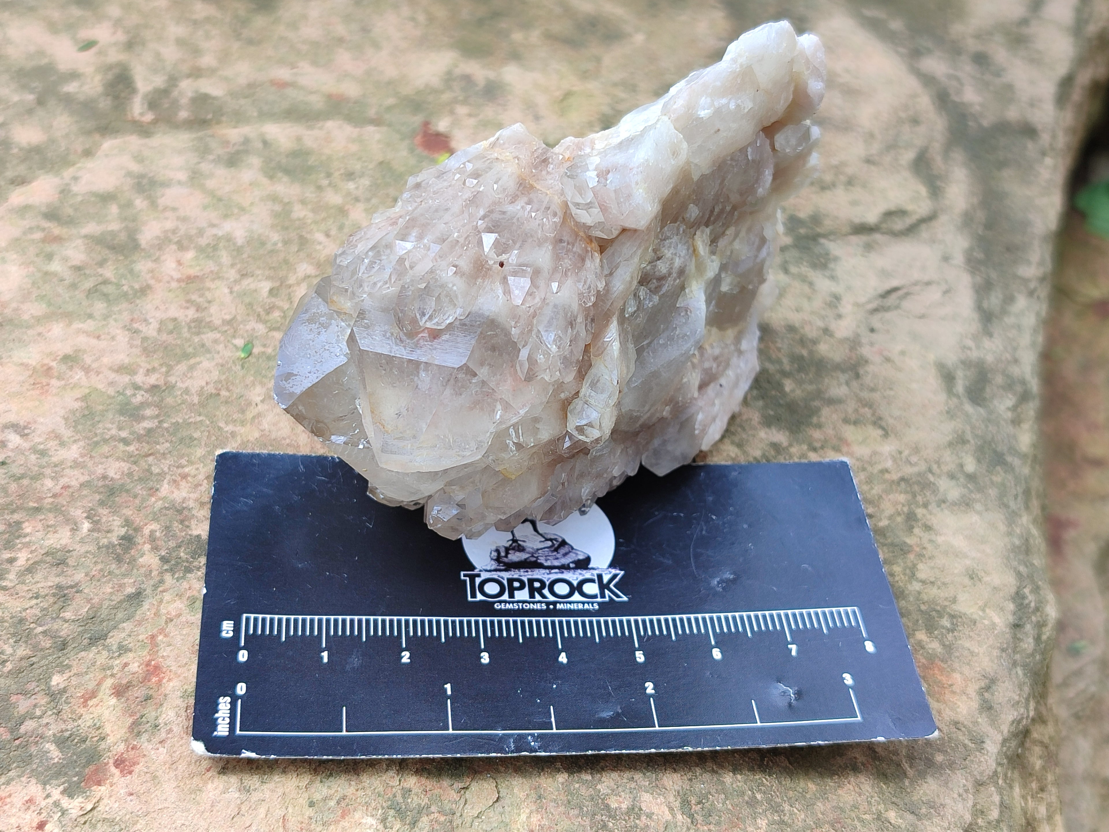 Natural Smokey Quartz Clusters x 6 From Luena, Congo - Toprock Gemstones and Minerals 