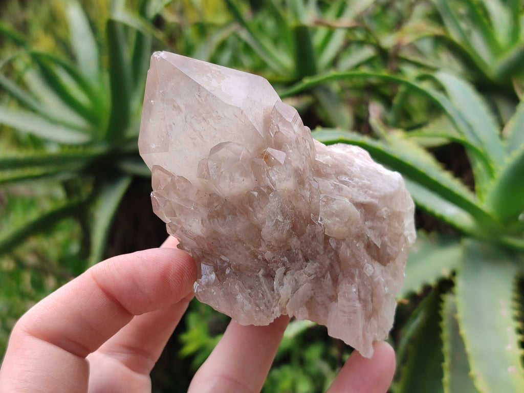 Natural Smokey Quartz Clusters x 6 From Luena, Congo - Toprock Gemstones and Minerals 
