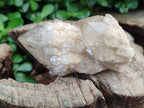 Natural Smokey Quartz Clusters x 6 From Luena, Congo - Toprock Gemstones and Minerals 