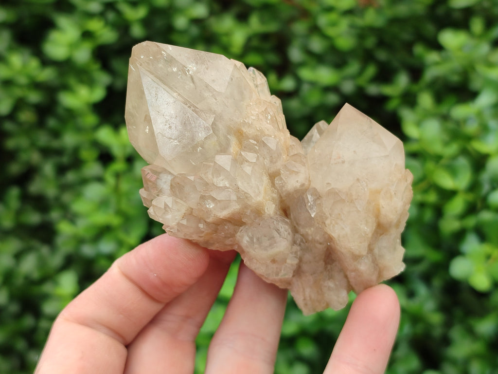 Natural Smokey Quartz Clusters x 6 From Luena, Congo - Toprock Gemstones and Minerals 