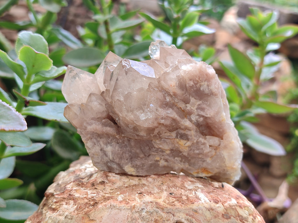 Natural Smokey Quartz Clusters x 6 From Luena, Congo - Toprock Gemstones and Minerals 