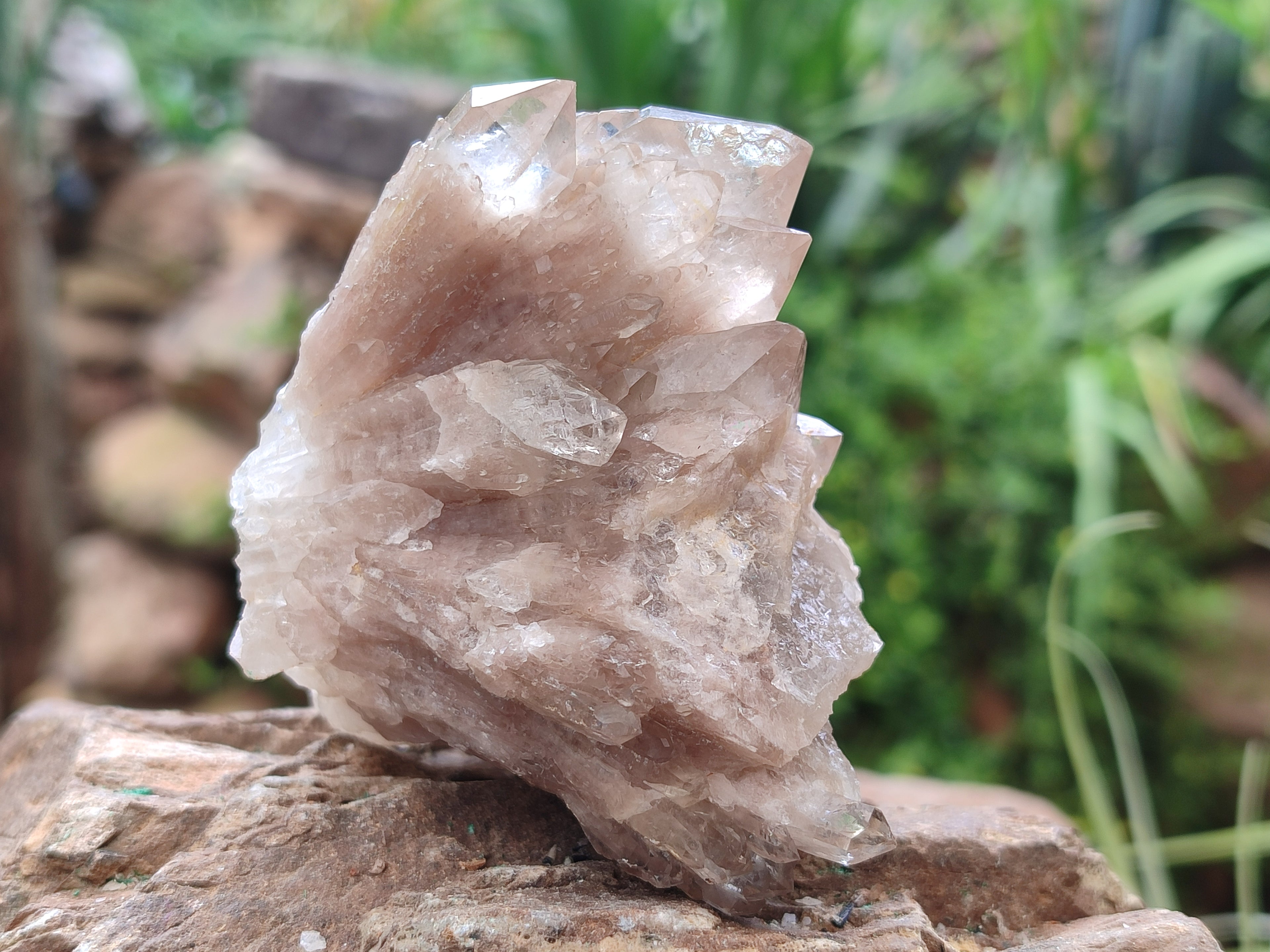 Natural Smokey Quartz Clusters x 6 From Luena, Congo - Toprock Gemstones and Minerals 