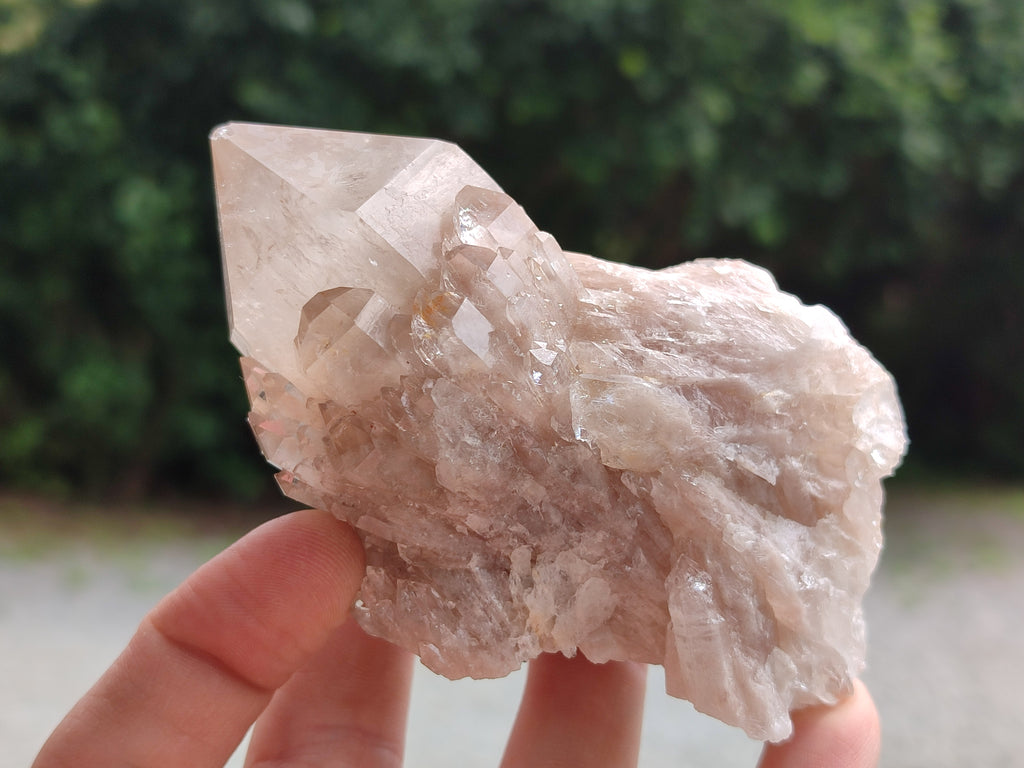 Natural Smokey Quartz Clusters x 6 From Luena, Congo - Toprock Gemstones and Minerals 