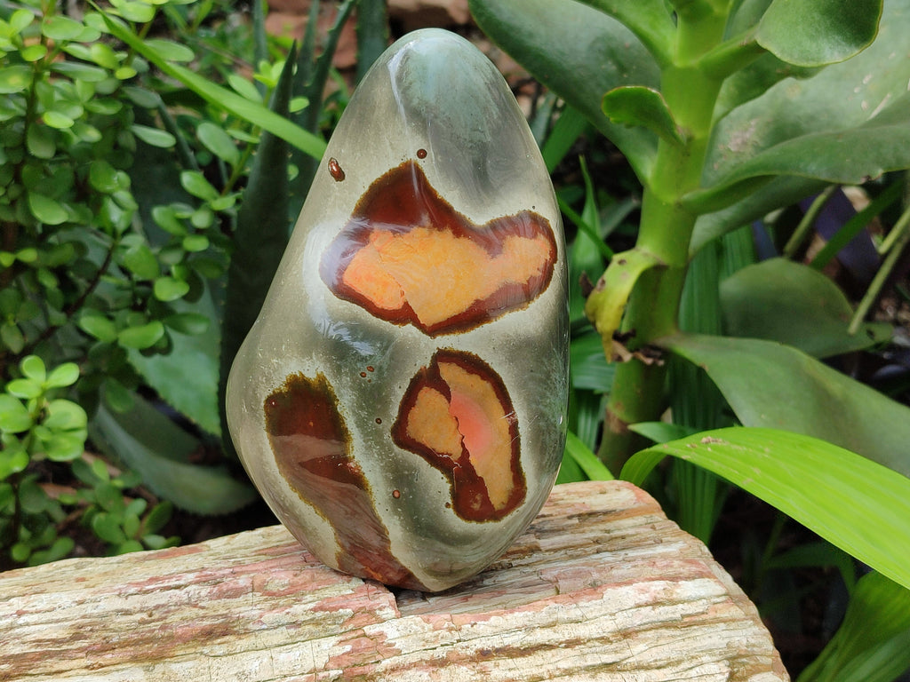 Polished Polychrome Jasper Standing Free Forms x 3 From Madagascar - Toprock Gemstones and Minerals 