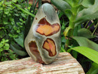Polished Polychrome Jasper Standing Free Forms x 3 From Madagascar - Toprock Gemstones and Minerals 
