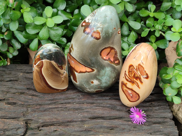 Polished Polychrome Jasper Standing Free Forms x 3 From Madagascar - Toprock Gemstones and Minerals 