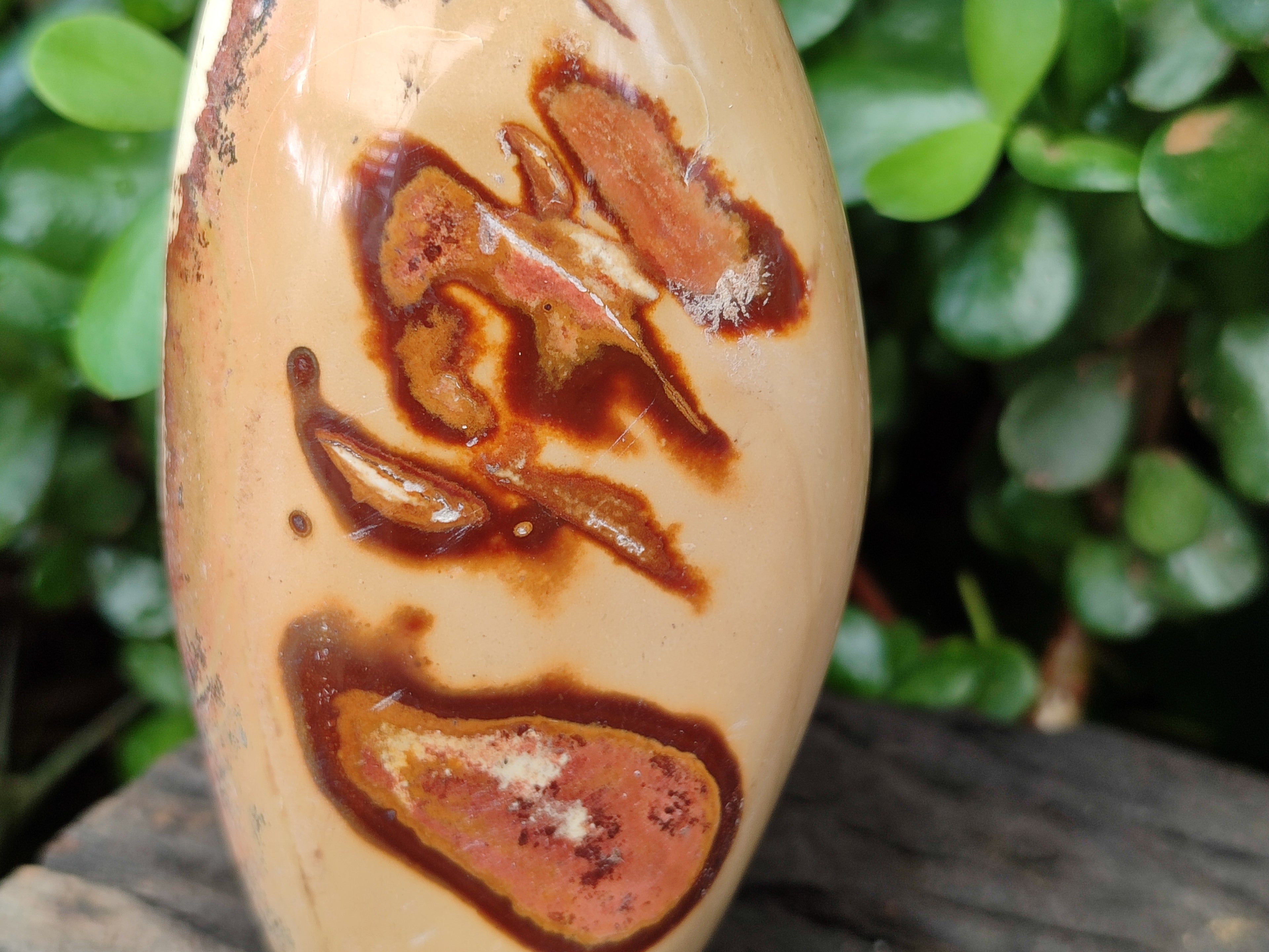 Polished Polychrome Jasper Standing Free Forms x 3 From Madagascar - Toprock Gemstones and Minerals 