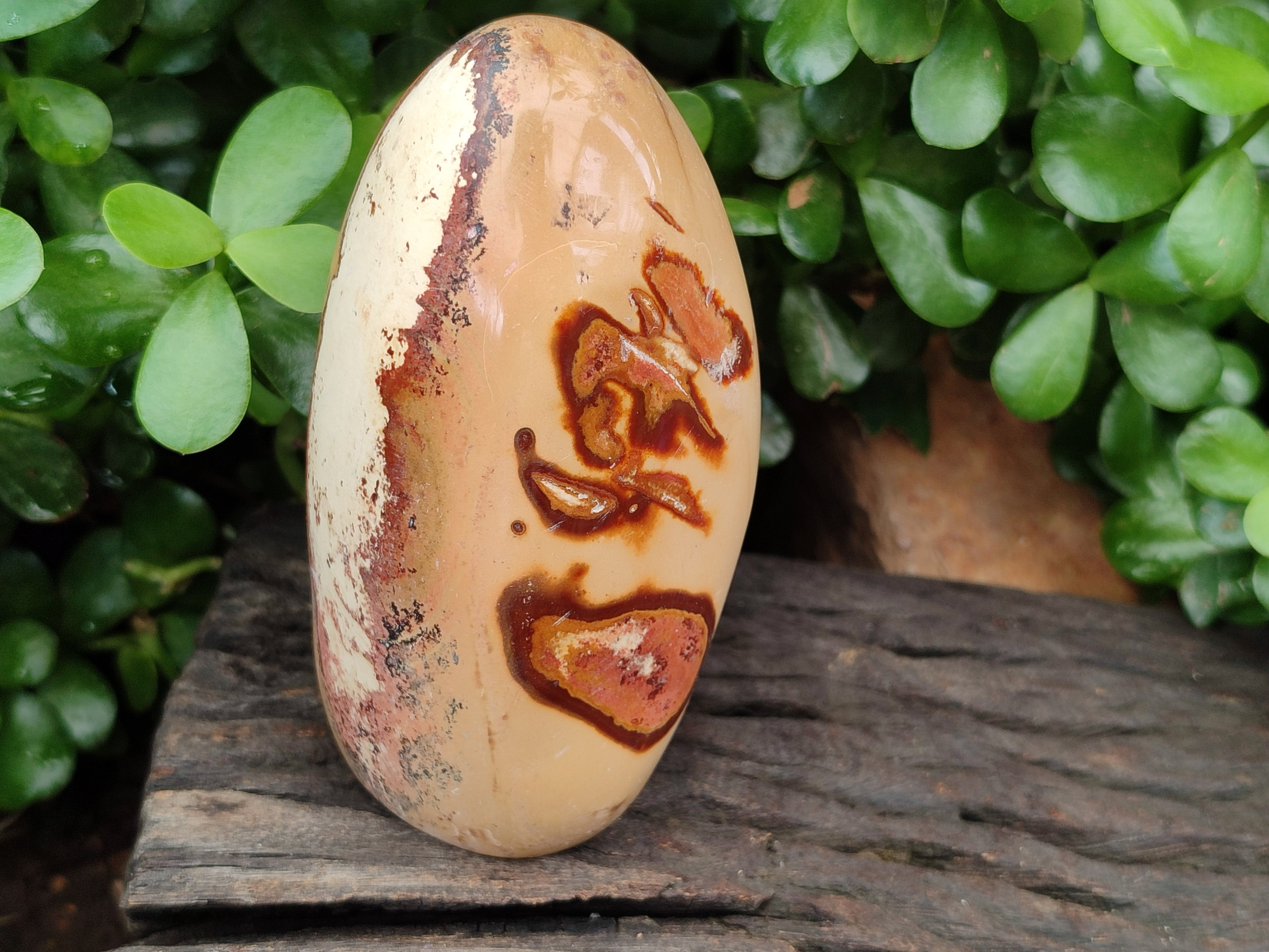 Polished Polychrome Jasper Standing Free Forms x 3 From Madagascar - Toprock Gemstones and Minerals 