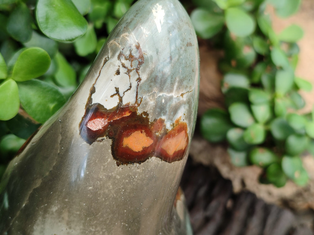 Polished Polychrome Jasper Standing Free Forms x 3 From Madagascar - Toprock Gemstones and Minerals 