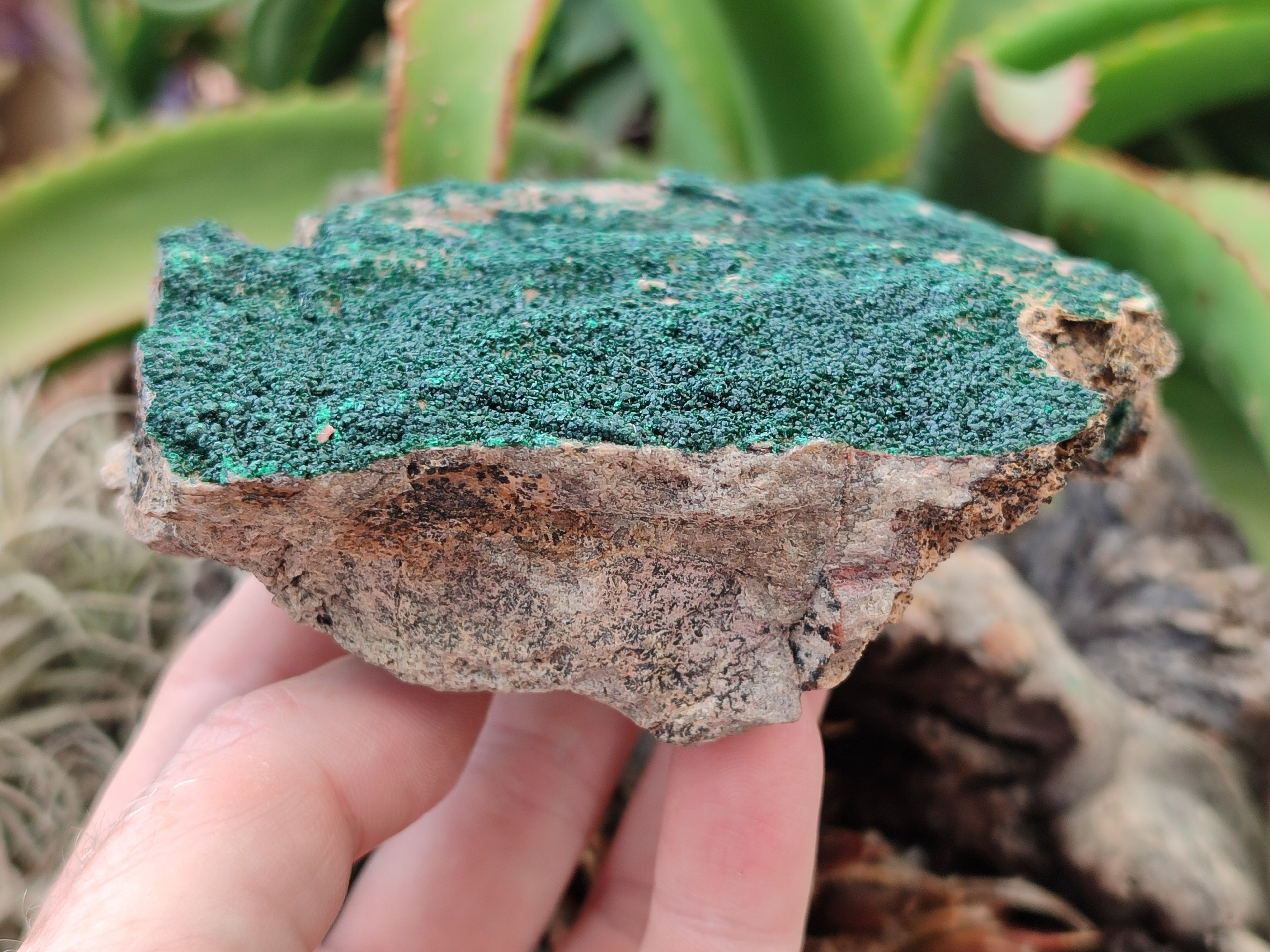 Natural Botryoidal Malachite Specimens x 3 From Tenke Fungurume, Congo - Toprock Gemstones and Minerals 