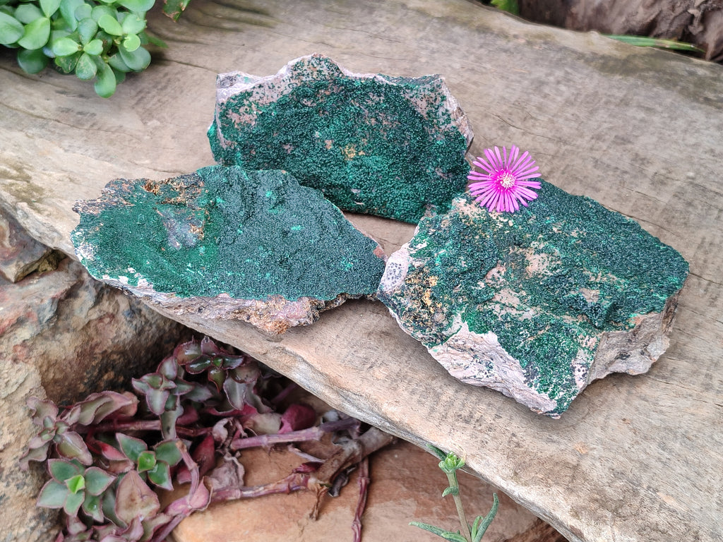 Natural Botryoidal Malachite Specimens x 3 From Tenke Fungurume, Congo - Toprock Gemstones and Minerals 