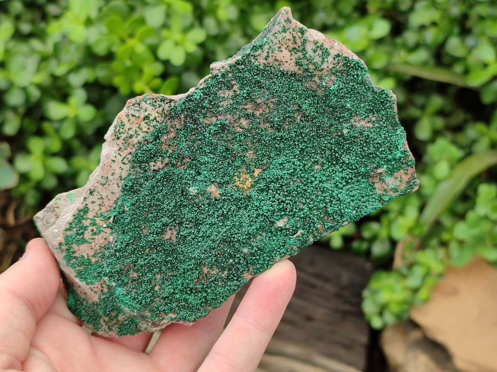 Natural Botryoidal Malachite Specimens x 3 From Tenke Fungurume, Congo - Toprock Gemstones and Minerals 