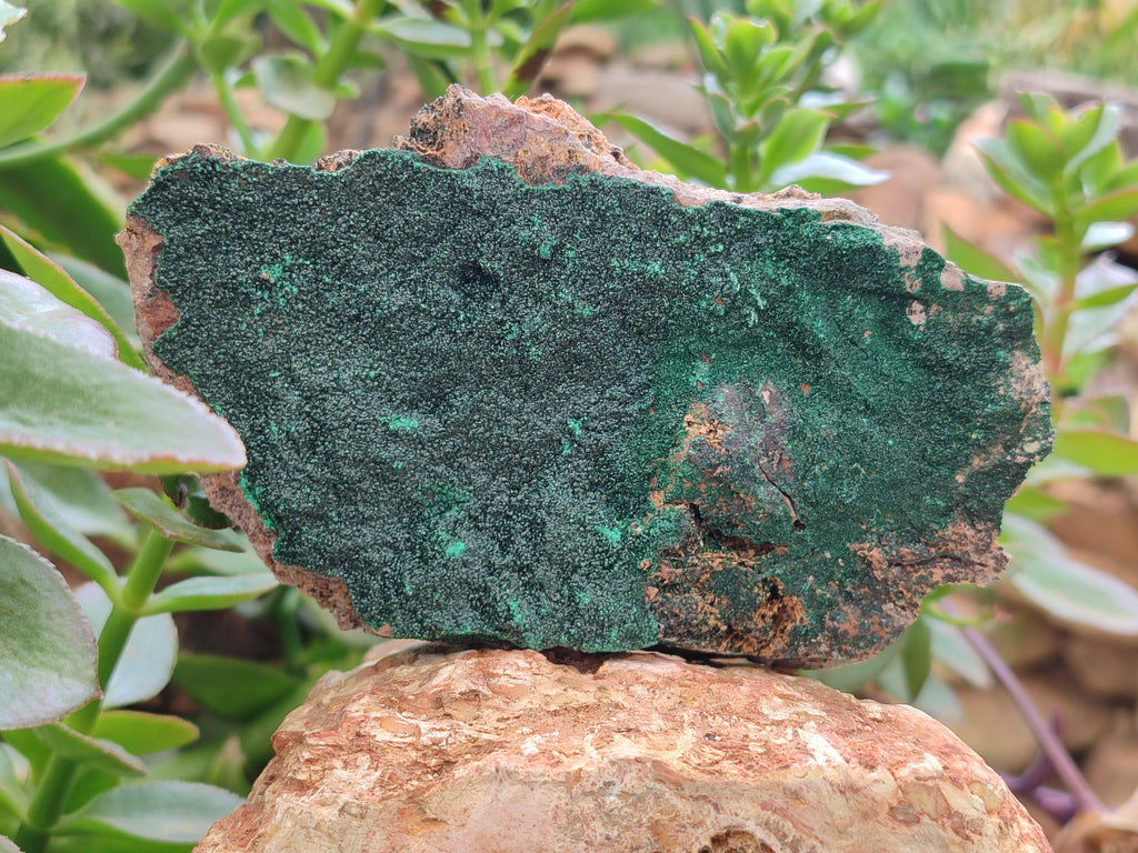 Natural Botryoidal Malachite Specimens x 3 From Tenke Fungurume, Congo - Toprock Gemstones and Minerals 