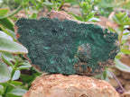 Natural Botryoidal Malachite Specimens x 3 From Tenke Fungurume, Congo - Toprock Gemstones and Minerals 