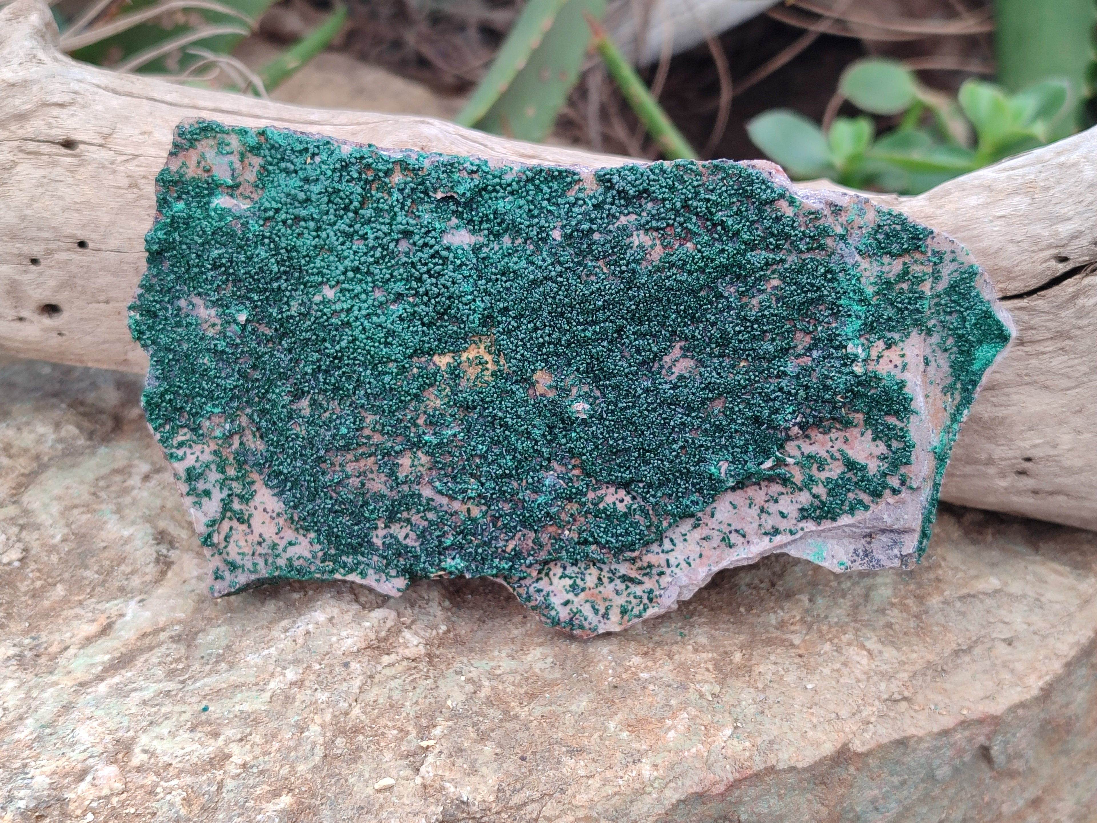 Natural Botryoidal Malachite Specimens x 3 From Tenke Fungurume, Congo - Toprock Gemstones and Minerals 