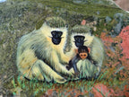 Hand Made Vervet Monkey Family Decoupage on Unakite Stone Slabs - sold per item - From Southern Africa - Toprock Gemstones and Minerals 