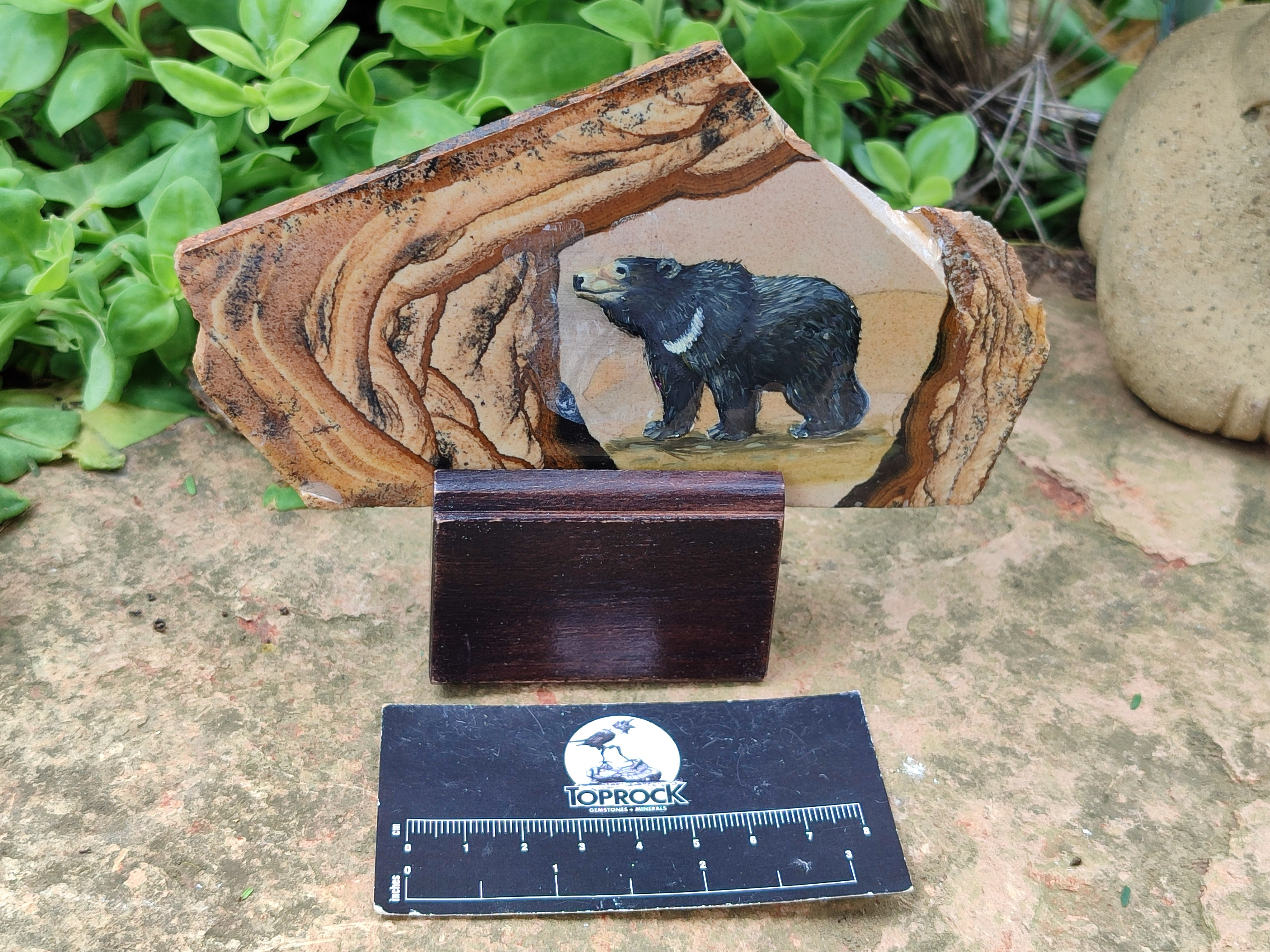 Hand Made Bear Decoupage on Picture Stone Jasper Stone Slabs - sold per item - From Namibia - Toprock Gemstones and Minerals 