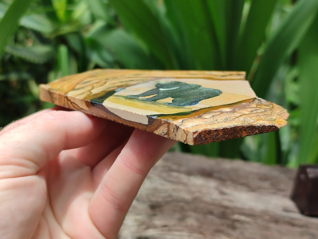 Hand Made Bear Decoupage on Picture Stone Jasper Stone Slabs - sold per item - From Namibia - Toprock Gemstones and Minerals 