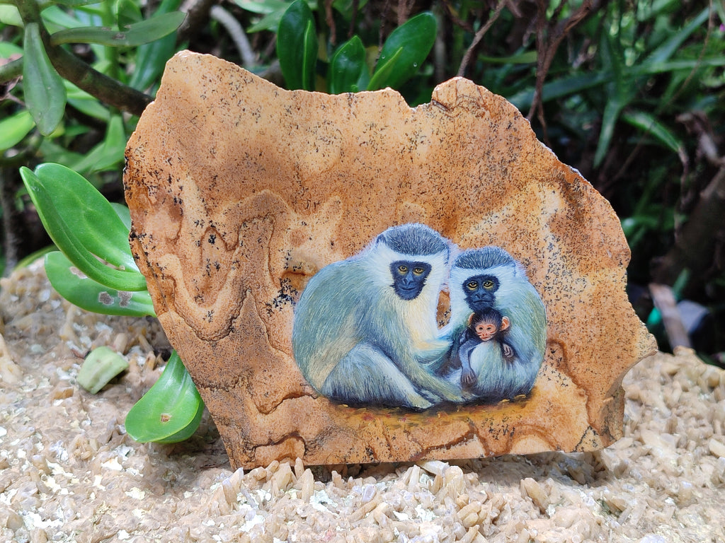 Hand Made Vervet Monkey Family Decoupage on Picture Stone Jasper Stone Slabs - sold per item - From Namibia - Toprock Gemstones and Minerals 