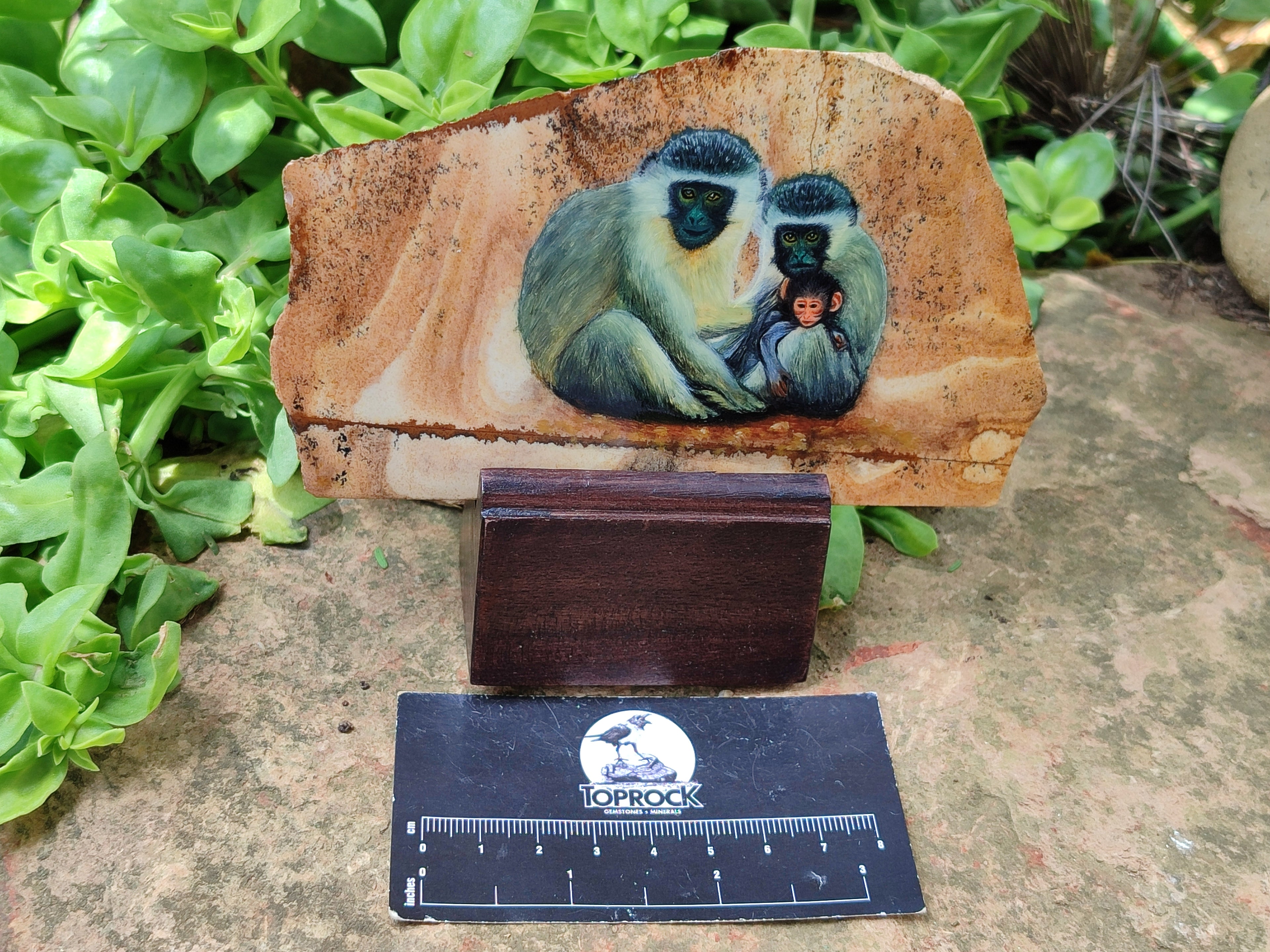 Hand Made Vervet Monkey Family Decoupage on Picture Stone Jasper Stone Slabs - sold per item - From Namibia - Toprock Gemstones and Minerals 