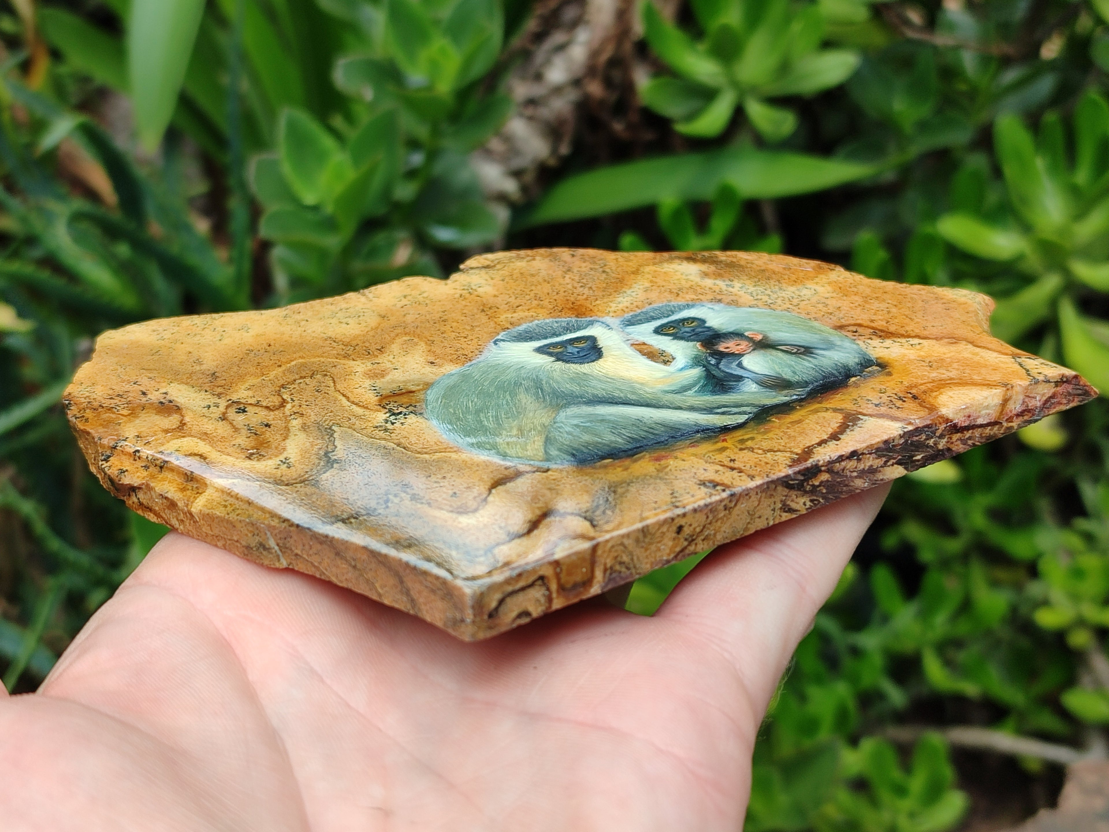 Hand Made Vervet Monkey Family Decoupage on Picture Stone Jasper Stone Slabs - sold per item - From Namibia - Toprock Gemstones and Minerals 