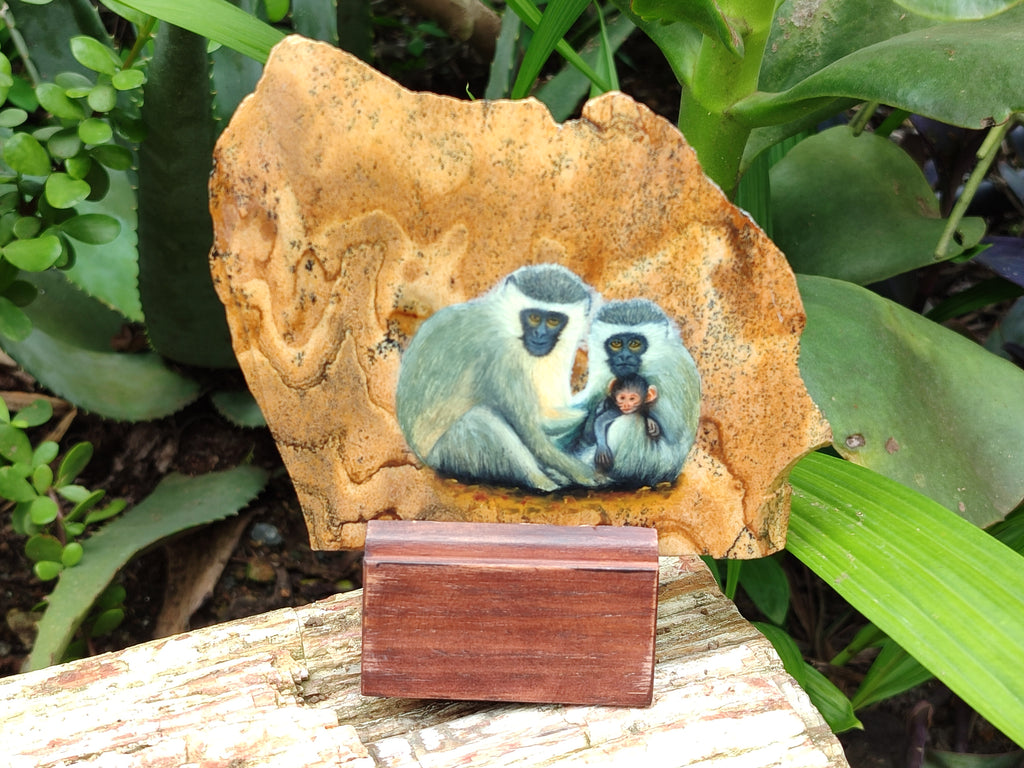 Hand Made Vervet Monkey Family Decoupage on Picture Stone Jasper Stone Slabs - sold per item - From Namibia - Toprock Gemstones and Minerals 