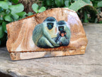 Hand Made Vervet Monkey Family Decoupage on Picture Stone Jasper Stone Slabs - sold per item - From Namibia - Toprock Gemstones and Minerals 
