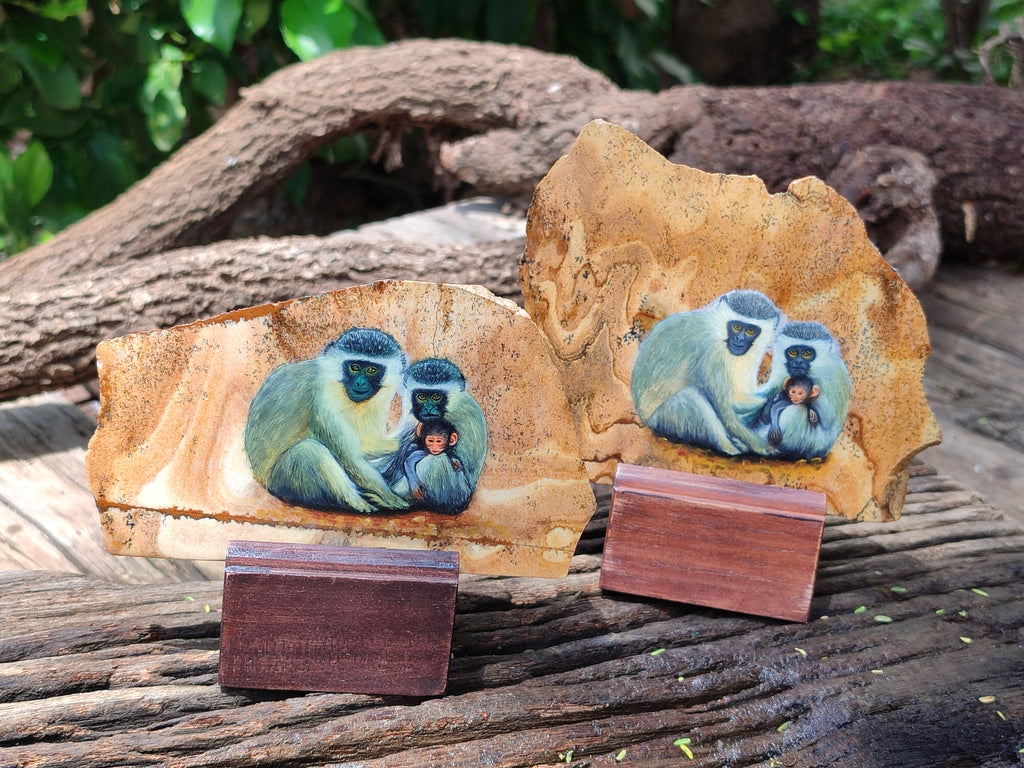 Hand Made Vervet Monkey Family Decoupage on Picture Stone Jasper Stone Slabs - sold per item - From Namibia - Toprock Gemstones and Minerals 