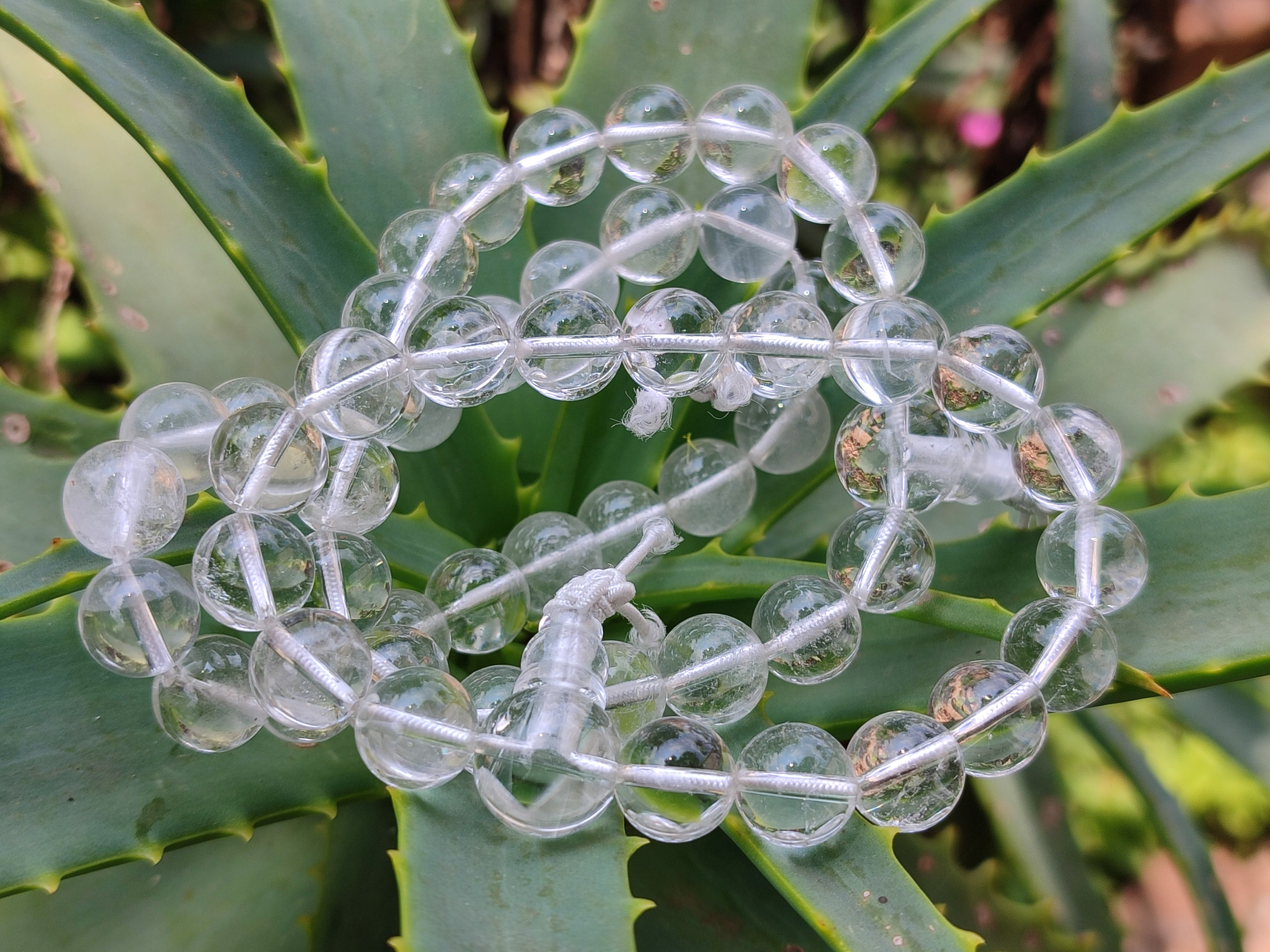 Polished Rock Crystal Stretch Buddha Bracelets - Sold Per Item - From Brazil - Toprock Gemstones and Minerals 