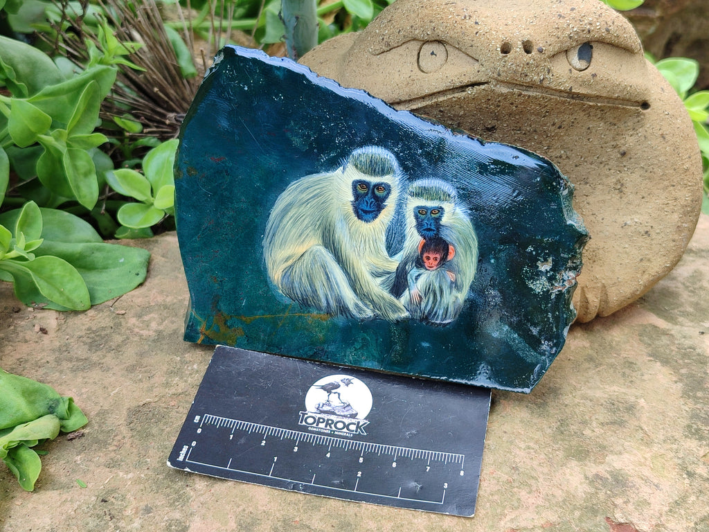 Hand Made Vervet Monkey Family Decoupage on Moss Agate Stone Slabs - sold per item - From South Africa - Toprock Gemstones and Minerals 