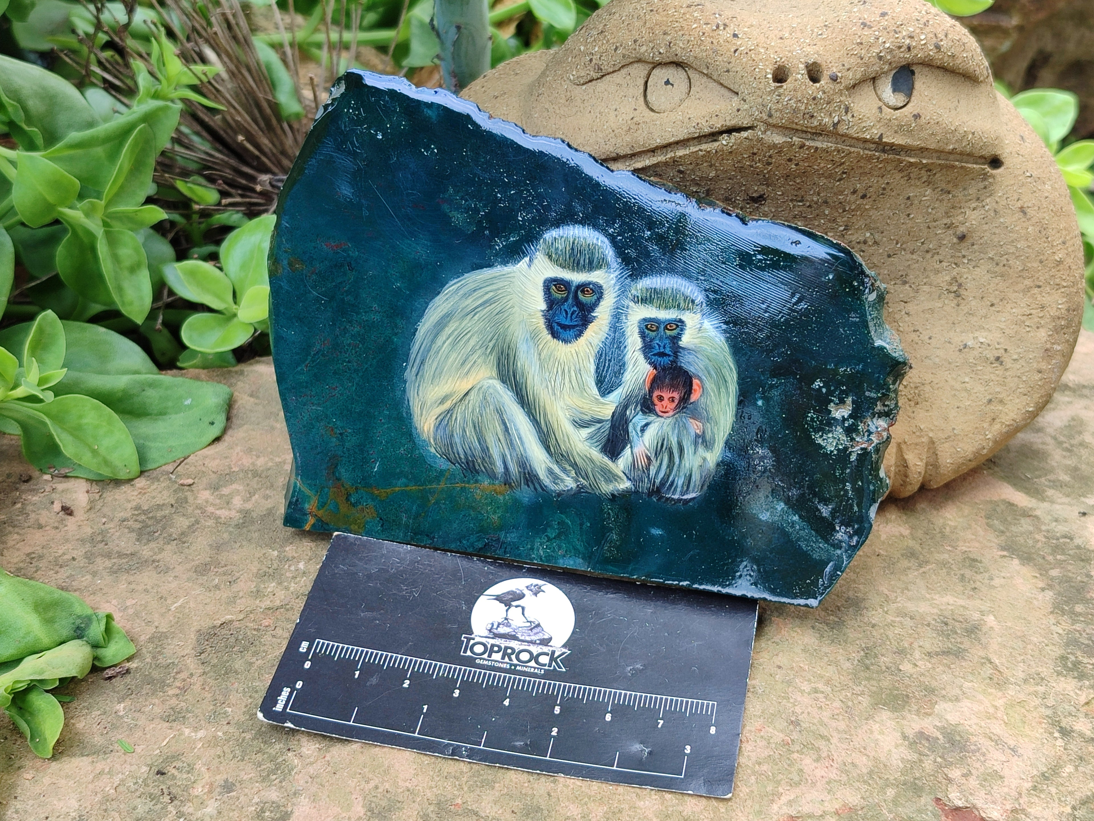 Hand Made Vervet Monkey Family Decoupage on Moss Agate Stone Slabs - sold per item - From South Africa - Toprock Gemstones and Minerals 