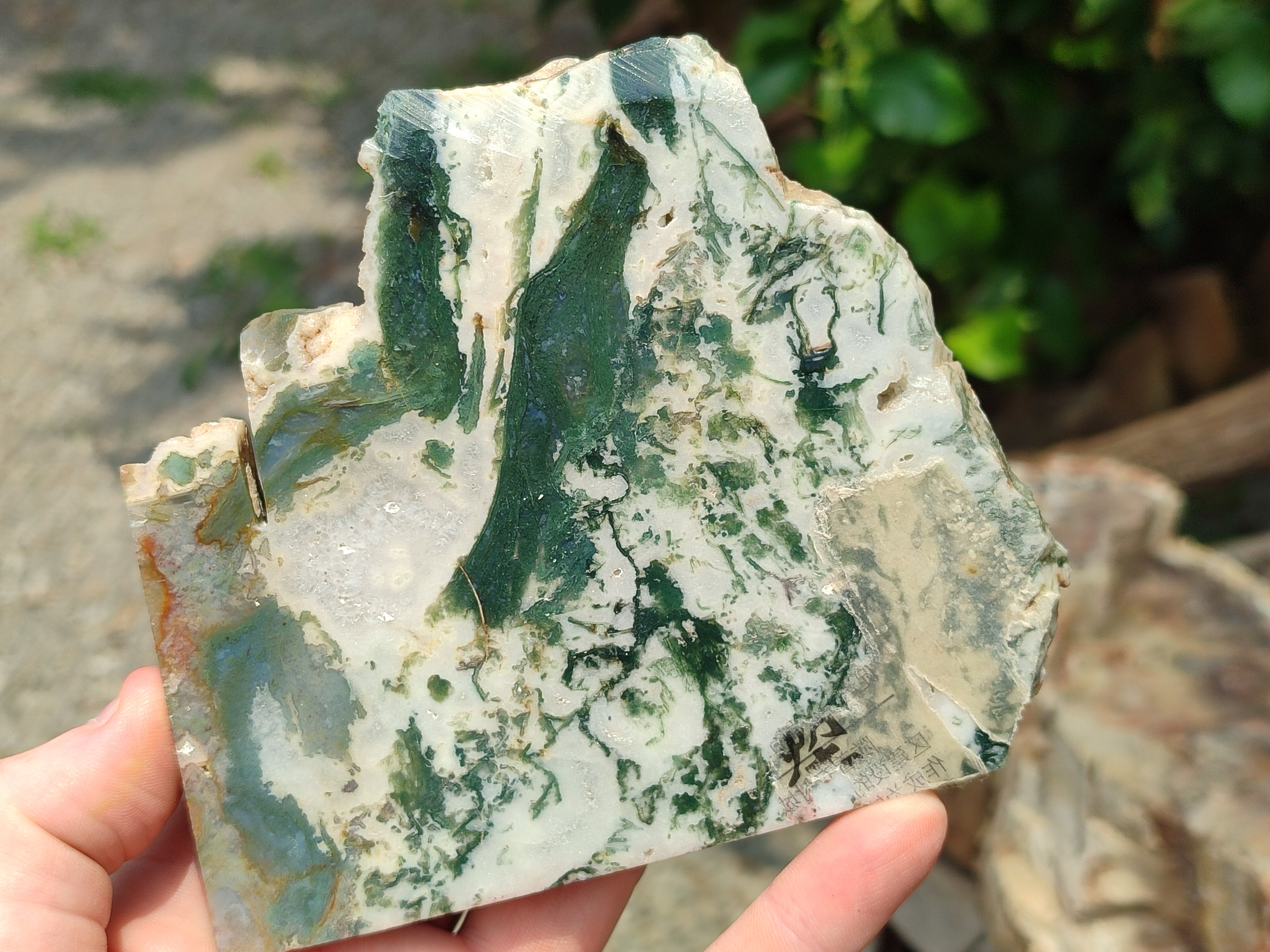 Hand Made Vervet Monkey Family Decoupage on Moss Agate Stone Slabs - sold per item - From South Africa - Toprock Gemstones and Minerals 