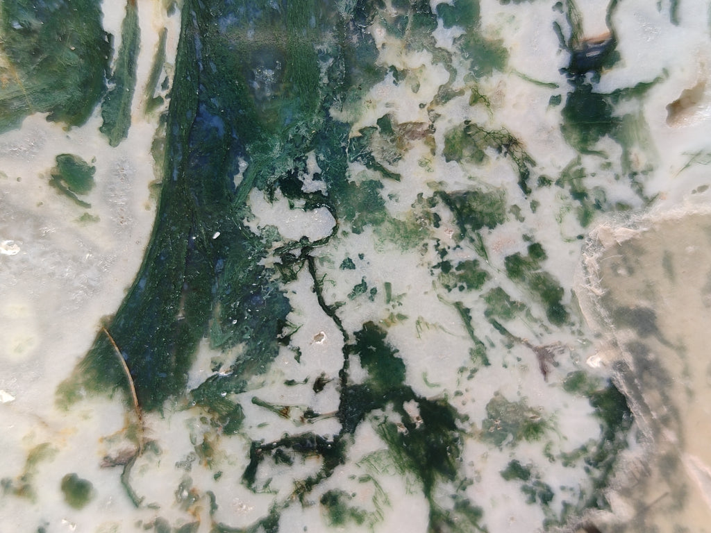 Hand Made Vervet Monkey Family Decoupage on Moss Agate Stone Slabs - sold per item - From South Africa - Toprock Gemstones and Minerals 