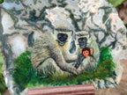Hand Made Vervet Monkey Family Decoupage on Moss Agate Stone Slabs - sold per item - From South Africa - Toprock Gemstones and Minerals 