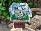 Hand Made Vervet Monkey Family Decoupage on Moss Agate Stone Slabs - sold per item - From South Africa - Toprock Gemstones and Minerals 