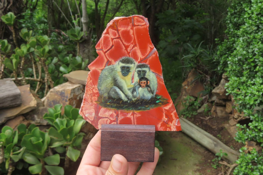 Hand Made Vervet Monkey Family Decoupage on Red Jasper Stone Slabs - sold per item - From South Africa - Toprock Gemstones and Minerals 