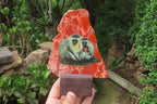 Hand Made Vervet Monkey Family Decoupage on Red Jasper Stone Slabs - sold per item - From South Africa - Toprock Gemstones and Minerals 
