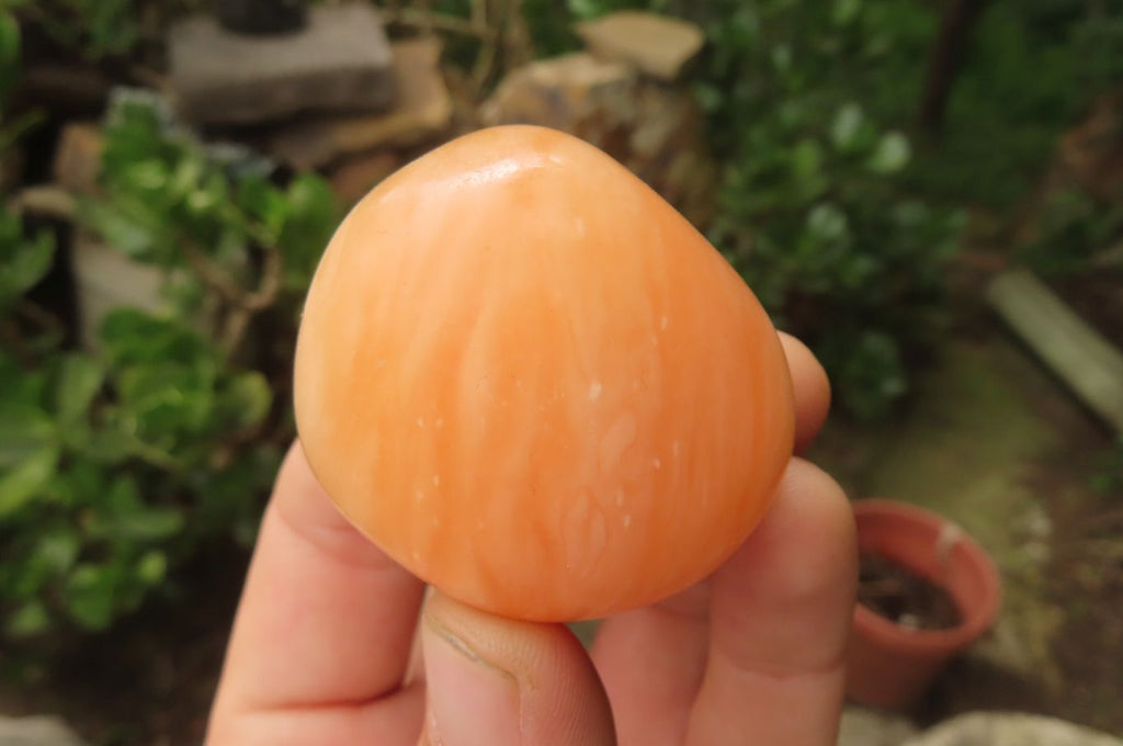 Polished Orange Twist Calcite Palm Stones x 20 From Madagascar - Toprock Gemstones and Minerals 