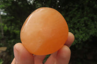 Polished Orange Twist Calcite Palm Stones x 20 From Madagascar - Toprock Gemstones and Minerals 