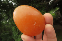 Polished Orange Twist Calcite Palm Stones x 20 From Madagascar - Toprock Gemstones and Minerals 
