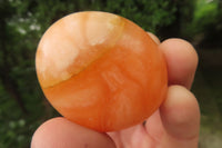Polished Orange Twist Calcite Palm Stones x 20 From Madagascar - Toprock Gemstones and Minerals 