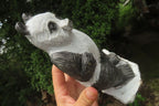 Hand Made Soap Stone Panda Carving x 1 From Zimbabwe - Toprock Gemstones and Minerals 