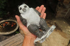 Hand Made Soap Stone Panda Carving x 1 From Zimbabwe - Toprock Gemstones and Minerals 