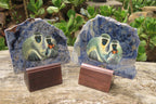 Hand Made Vervet Monkey Family Decoupage on Sodalite Stone Slabs - sold per item - From Namibia - Toprock Gemstones and Minerals 