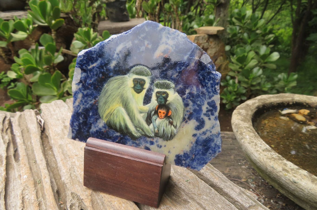 Hand Made Vervet Monkey Family Decoupage on Sodalite Stone Slabs - sold per item - From Namibia - Toprock Gemstones and Minerals 